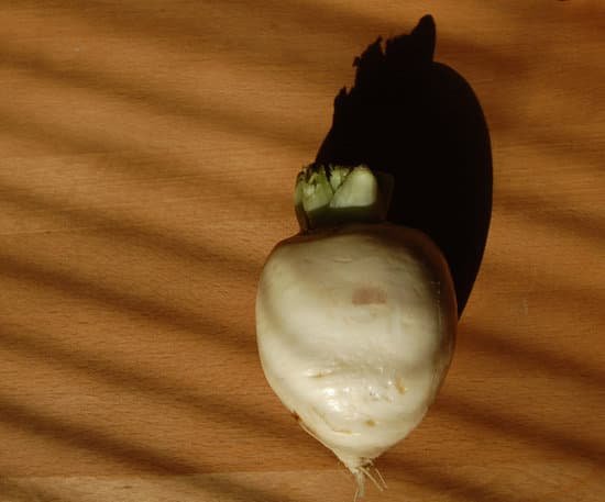 canva turnip down MADBUHIKvcs
