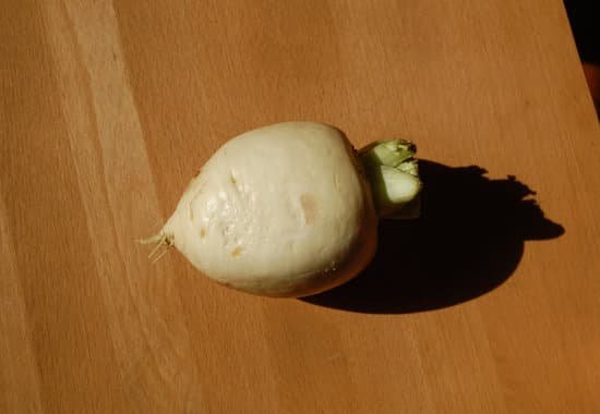 canva turnip straight MADBUHcfhuo