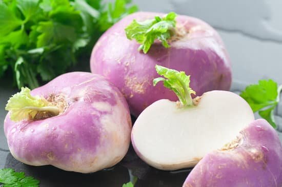 canva turnips MAC7IOYH1XU