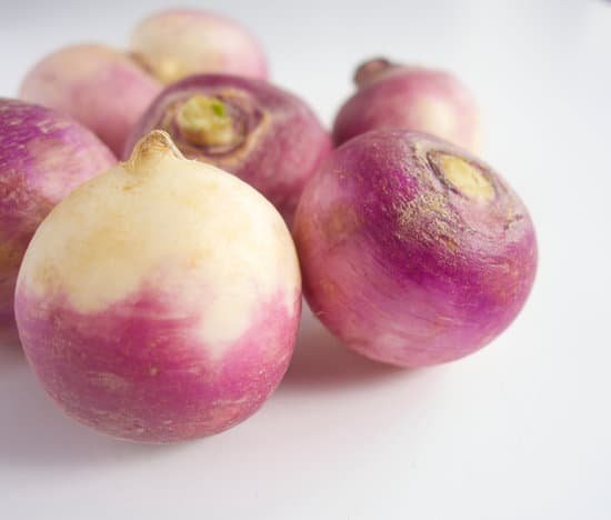 canva turnips