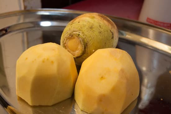 canva turnips MADBOToSX68