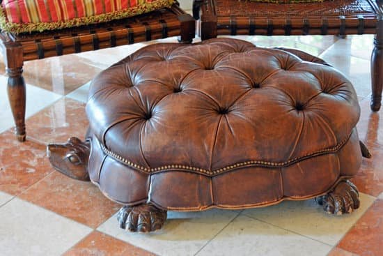 canva turtle footstool MADE9fWZ70Q