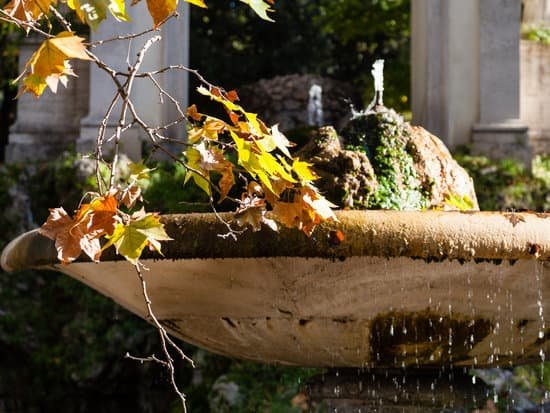 canva twig with yellow and orande leaves of sycamore MAC39yi0tZ8