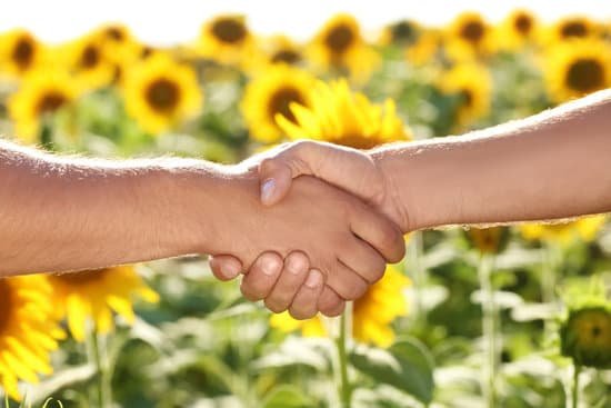 canva two men shaking hands in sunflower field MAD9T peHo0