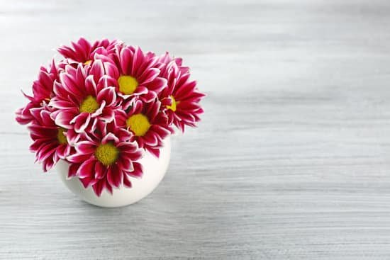 canva violet chrysanthemum on wooden table MAD Q7YmFMk