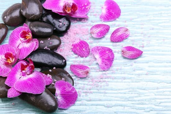 canva violet orchid and zen stones MAD MYbgV4Q