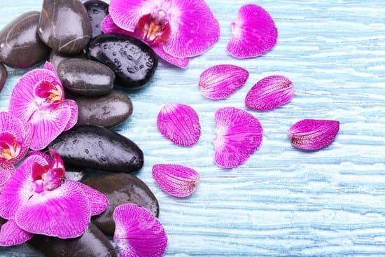 canva violet orchid and zen stones close up MAD MVdjugo