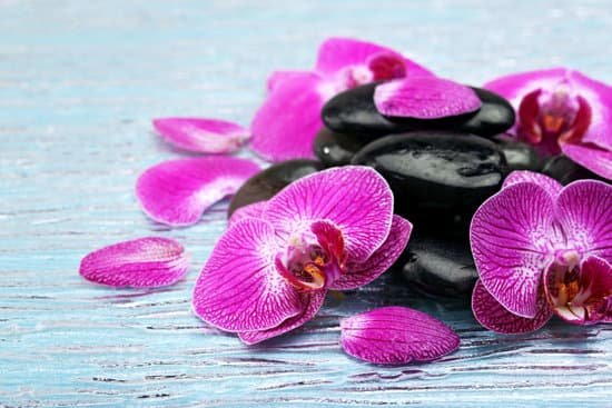 canva violet orchids and spa stones on wooden table MAD MQEsPHo