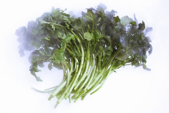 canva watercress MAC KNMwrjE