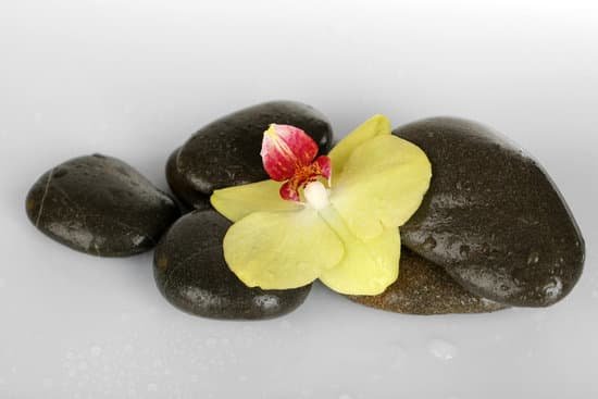 canva wet spa stones with orchid isolated on white background MAD MEMkPyg