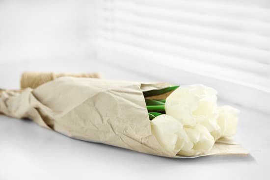 canva white beautiful tulips near white windowsill MAD MD15BLM