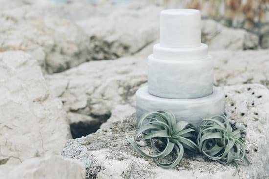 canva white cake design with succulents on stone MAENC67 j5c