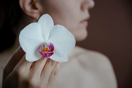 canva white orchid flower on a womans hand MAEEBcDZIZw
