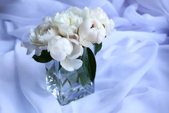 canva white peonies in vase on fabric MAD MdkZPpI