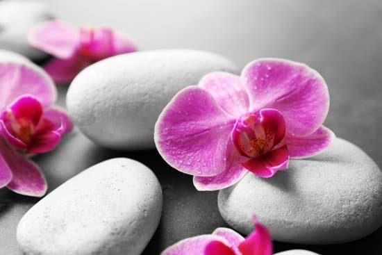 canva white spa stones and orchids close up MAD QglGJw8