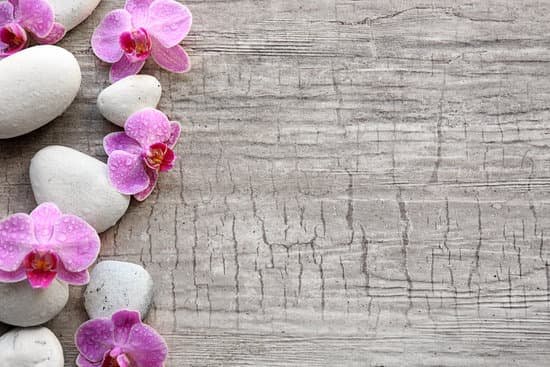 canva white spa stones and orchids on grey wooden background MAD QlguHm8