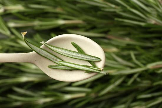 canva white spoon with rosemary herbs MAD9bRm4Too