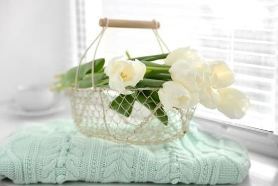 canva white tulips in light interior with knitted fabric MAD MAWZPnQ