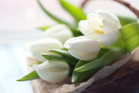 canva white tulips on basket MAD Qqe9qDc