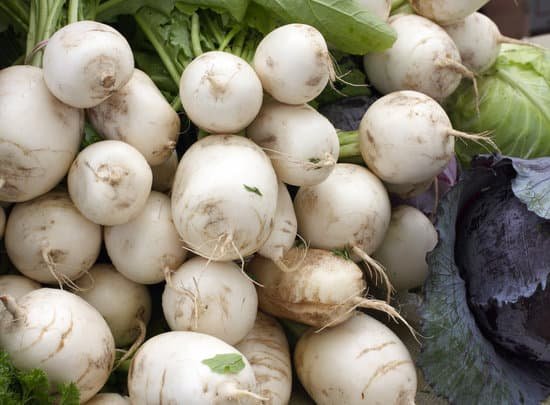 canva white turnips MAEE XhflFk