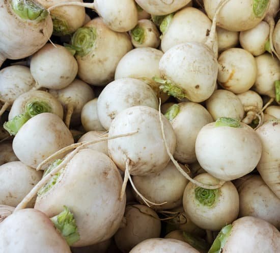 canva white turnips MAEEsAK4ylM