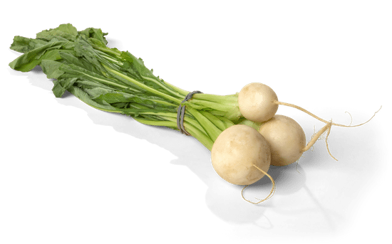 canva white turnips isolated MADFI sUzW0