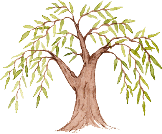 canva willow tree watercolor MAEigEB7zYg