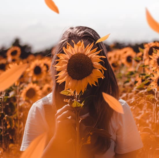 canva woman covering her face with sunflower MADKELkJS50