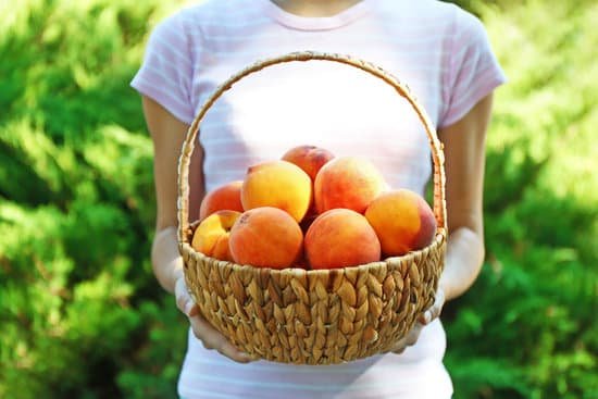 canva woman holding basket of fresh peaches MAD Q6uz2z4