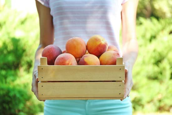 canva woman holding box of fresh peaches MAD Q50P9JM