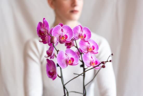 canva woman holding pink orchid MADYNfqvu2I