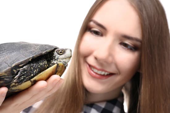 canva woman with pet turtle MAD8SlqhR Y