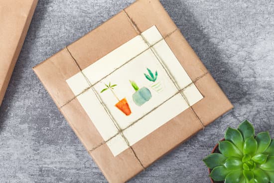 canva wrapped gift box with watercolor painting and succulent MAESNUszqe0