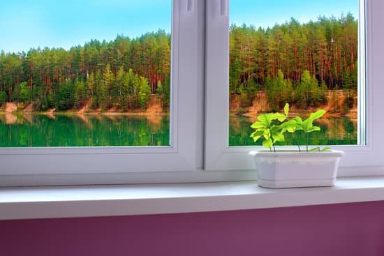 canva young oaks on the window sill of window overlooking the forest lake MAEqXoYmWdM