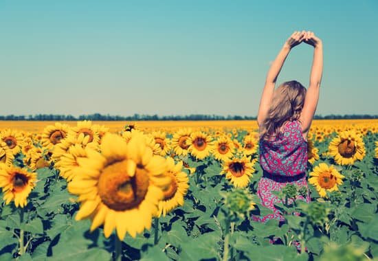 canva young woman in sunflower field MAD6r246q I