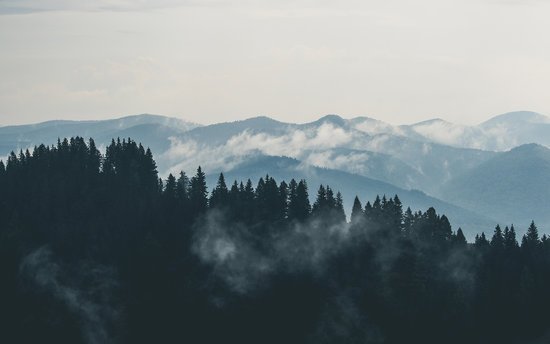 canva aerial photography of pine trees on the mountain MADGypfEcOo 1