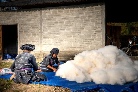 canva asian workers cleaning cotton in farmland MAEPyq50s1M