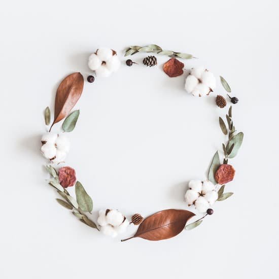 canva autumn composition. wreath made of eucalyptus branches cotton flowers dried leaves on pastel gray background. autumn fall concept. flat lay top view square MADeq7100bA