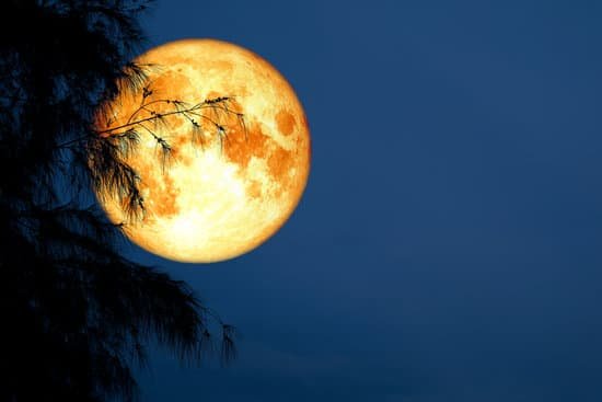 canva blood moon back silhouette tree night sky MADapraTADY