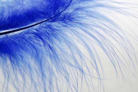 canva blue feather detail in white background MADQ5PSm3q0