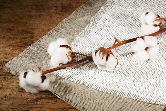 canva branches of cotton fiber on a wooden background MADarTsoEcA