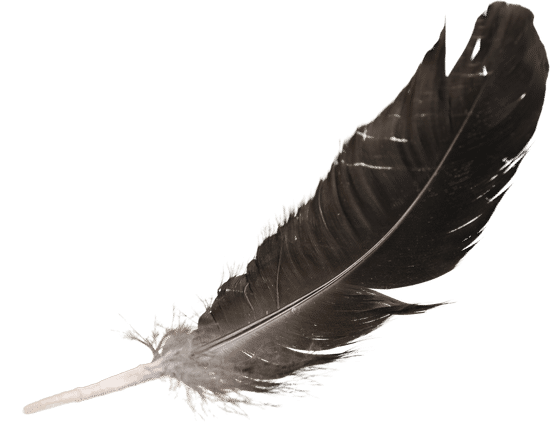 canva brown feather MAB5 aeLWQo