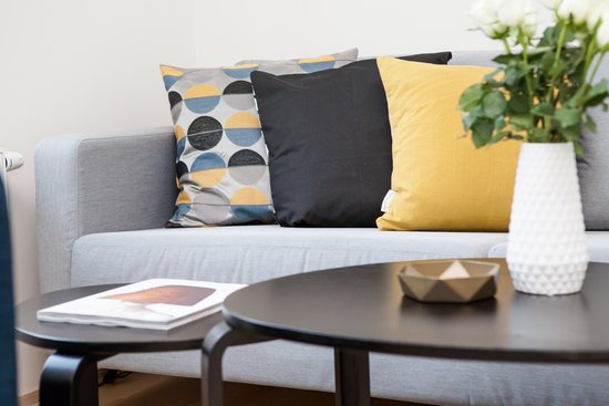 canva centerpiece on coffee table beside sofa with three pillows