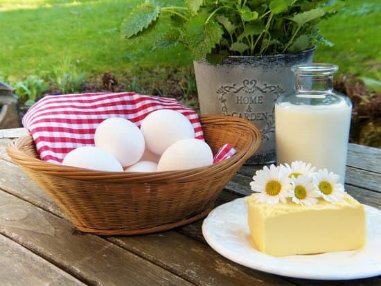 canva cheese eggs and milk MADQ5CA7Kw0
