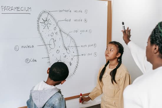 canva children with black teacher studying biology MAENvyZ3T0s