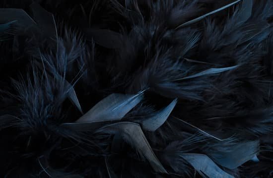 canva close up of black feathers textured background MADaAdiJDgg