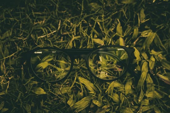 canva close up photo of black framed eyeglasses on grass MADySQqeh3E