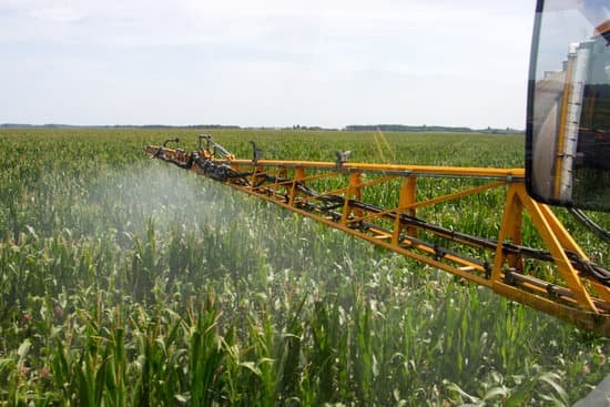 canva corn spraying MADE9SR8LUI
