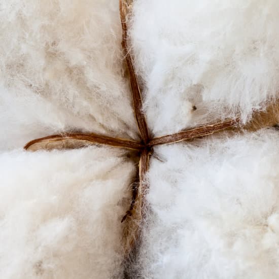 canva cotton