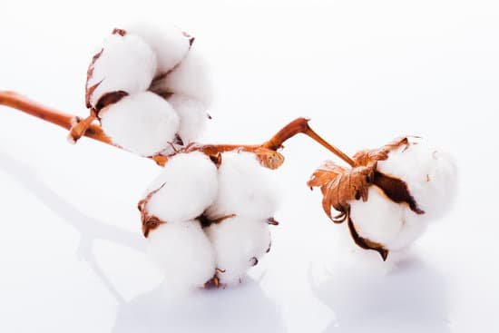 canva cotton organic textile